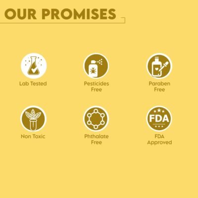 Clensta Eggstreme Hair Repair Shampoo With Egg Protein