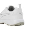 Puma Men Cricket Classicat Cricket Shoes