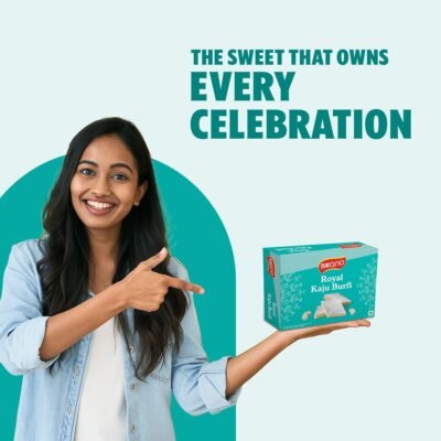 Bikano Royal Kaju Burfi Premium Indian Sweet