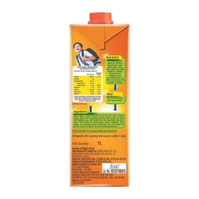 Real Fruit Power Real Masala Mixed Fruit 1L