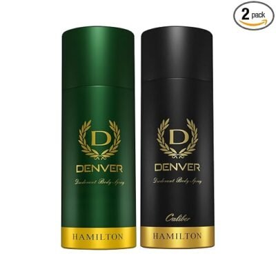 Denver Hamilton Watch