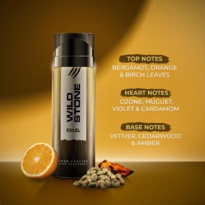 Wild Stone Excel Deodorant