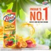 Real Fruit Power Real Masala Mixed Fruit 1L