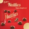 Cadbury Nutties Chocolate Pack, 30 g
