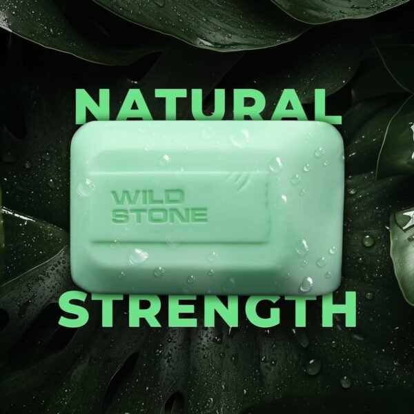 71bPOYnWIwL._SL1500_ Wild Stone Soap Pack - Ultra Sensual and Forest Spice