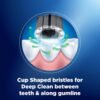 Oral-B Cavity Defense Toothbrush Pack