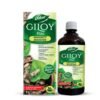 Dabur Giloy Juice - 1L