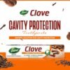 Dabur Herb'l Clove Toothpaste - Cavity Protection