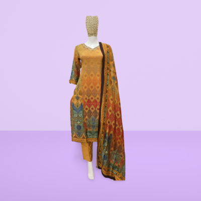 Paris Ladies Stylish Suit