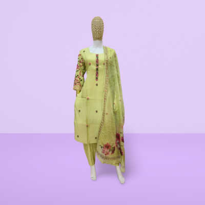 Paris Fashion Women's Kurti