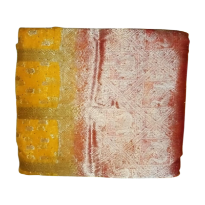 Pavitra Stylish Saree