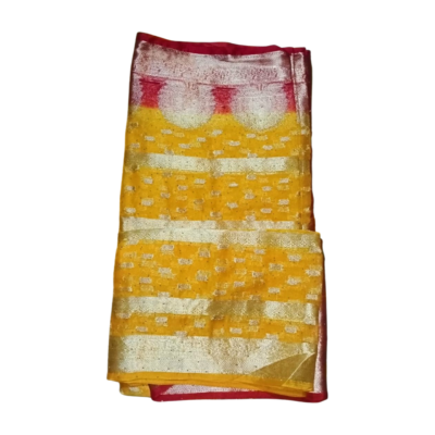 Pavitra Stylish Saree