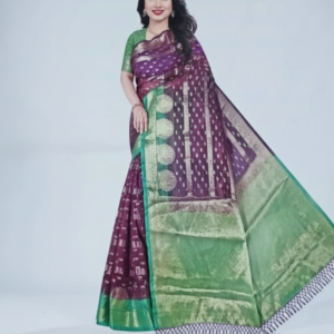 Pavitra Women Stylish Saree