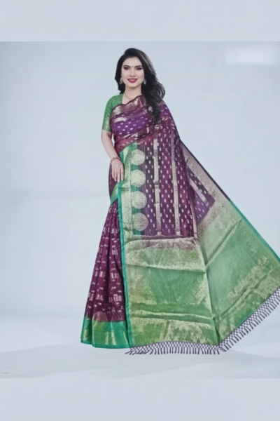 Pavitra Women Stylish Saree
