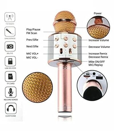 Multi-Function Wireless Karaoke Mic