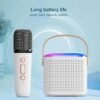 Karaoke Bluetooth Mic for Kids with Bluetooth speaker