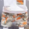 Googo Gaaga Boy's Cotton T-Shirt & Shorts Set
