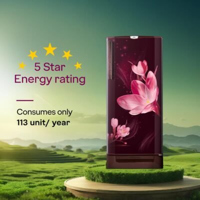 Godrej 185 L 5 Star Refrigerator - Mystic Wine
