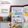 Godrej 185 L 5 Star Refrigerator - Mystic Wine